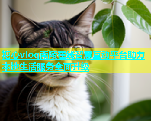 糖心vlog南陵在线智慧互动平台助力本地生活服务全面升级